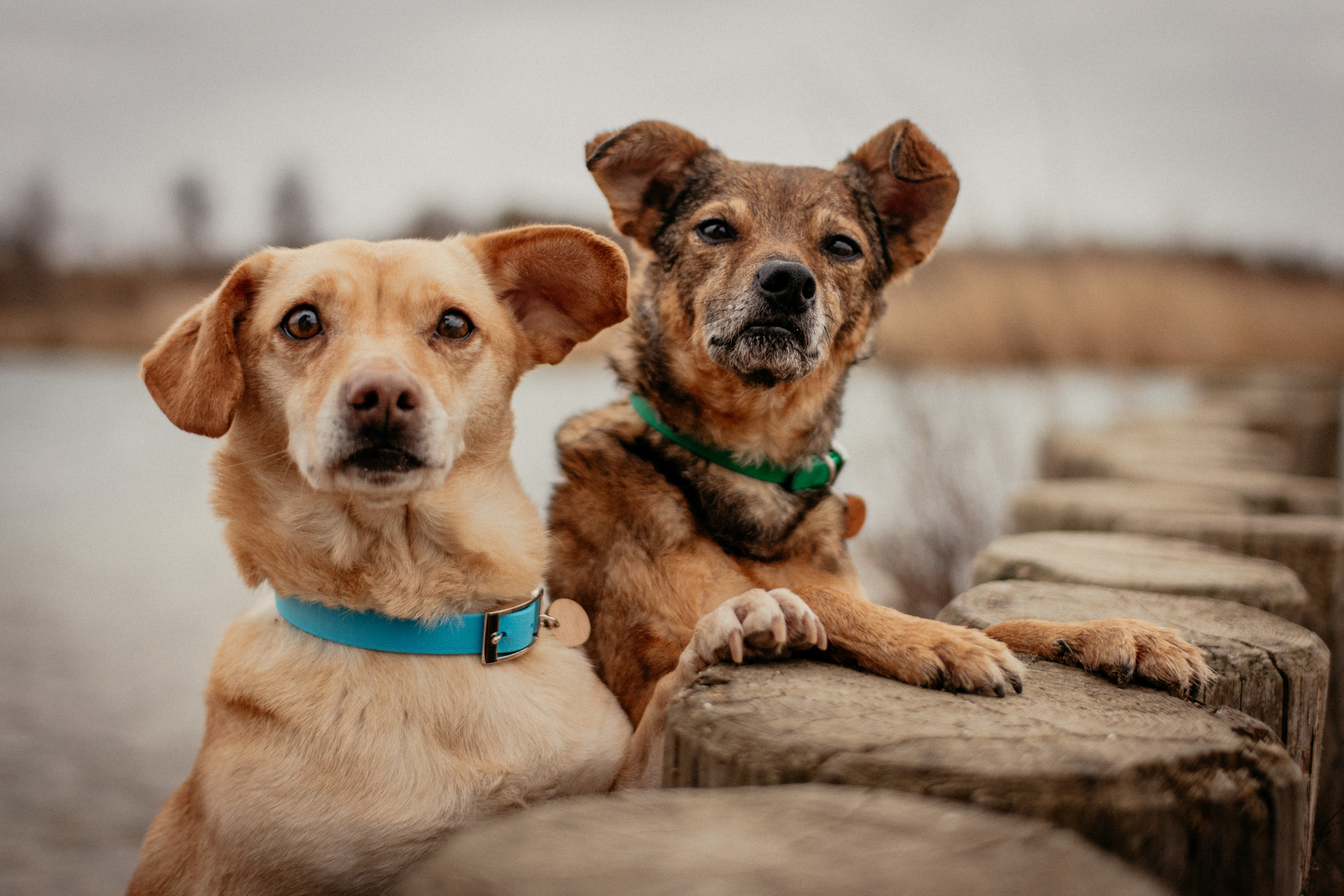 Training Begleitperson